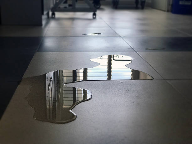 Best Carpet water damage restoration  in Clarksville, IA